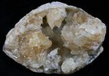 Large Crystal Filled Fossil Clam - Rucks Pit, FL #5782-1